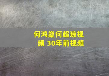 何鸿燊何超琼视频 30年前视频